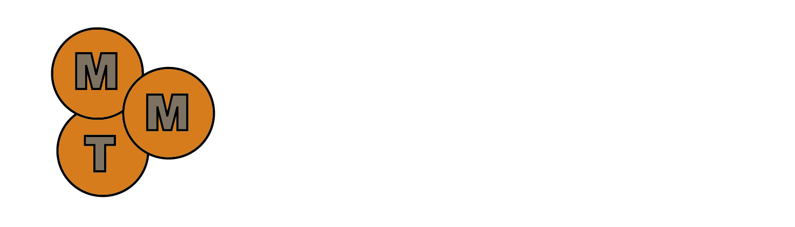 light logo
